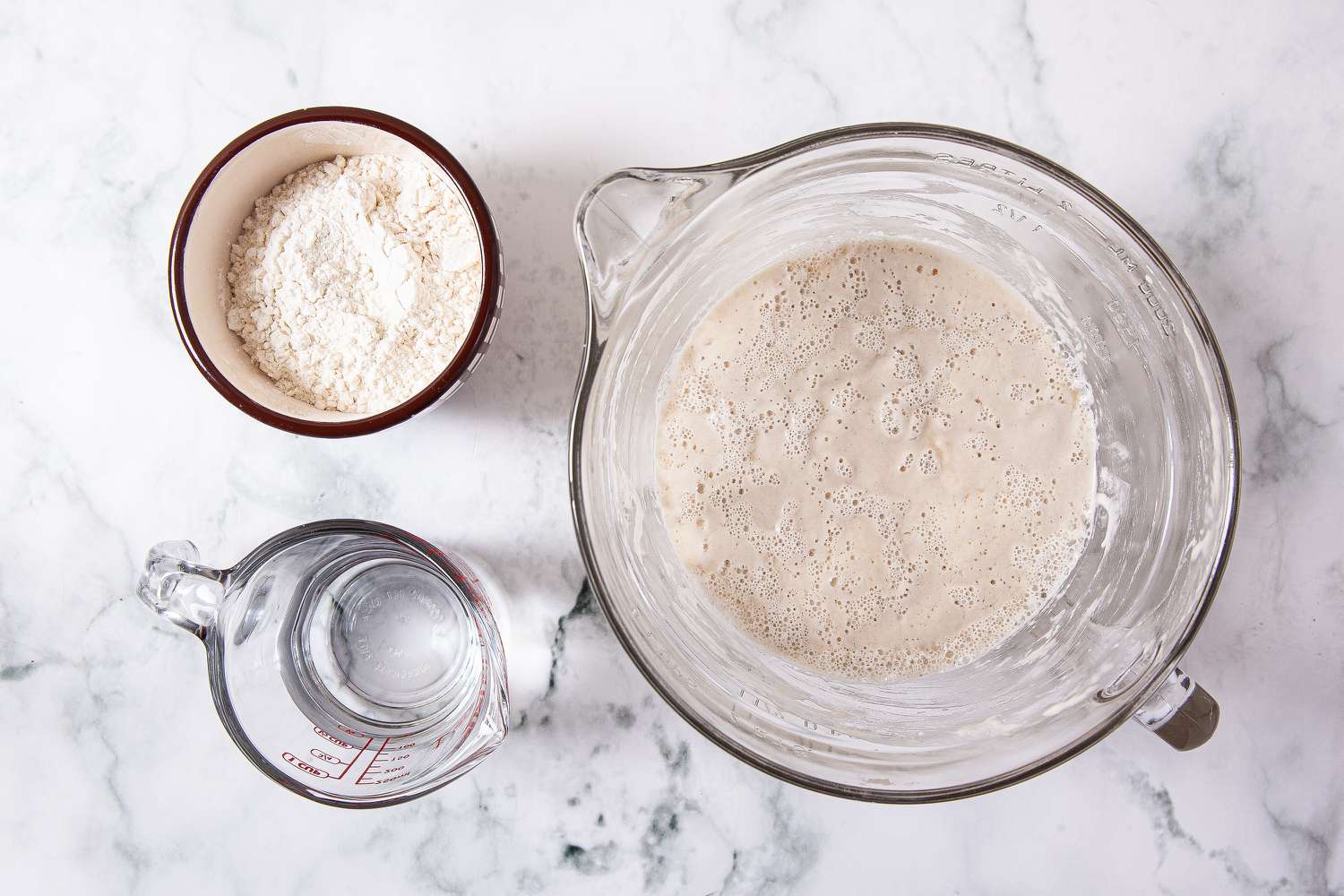 Each factor You Should Know to Make a Sourdough Starter